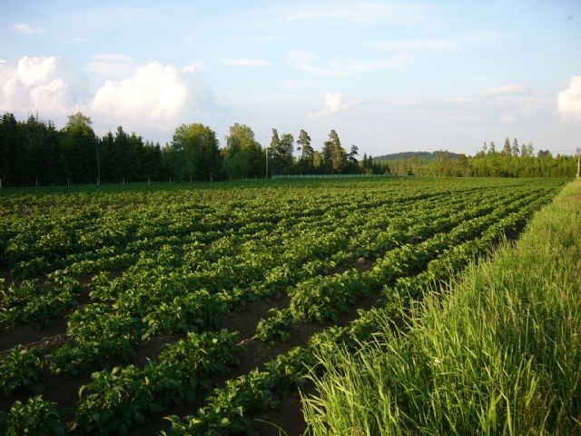 bild_031.jpg
